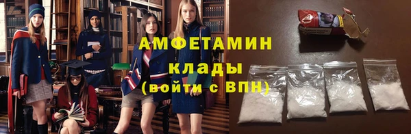 прущие грибы Балахна