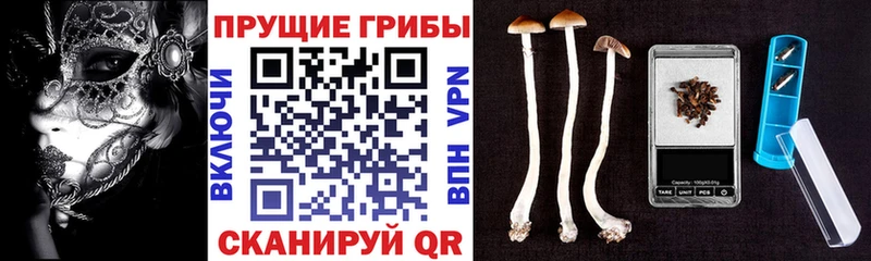 блэк спрут ТОР  Певек  Галлюциногенные грибы GOLDEN TEACHER 